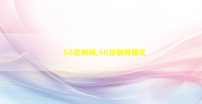 5G定制网,5G定制网模式